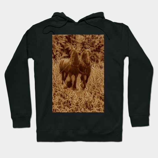 Shirehorses ready for ploughing Hoodie by avrilharris